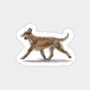 The Berger Picard Dog Sticker